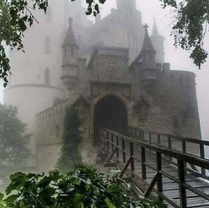 Meet your Posher, Staci